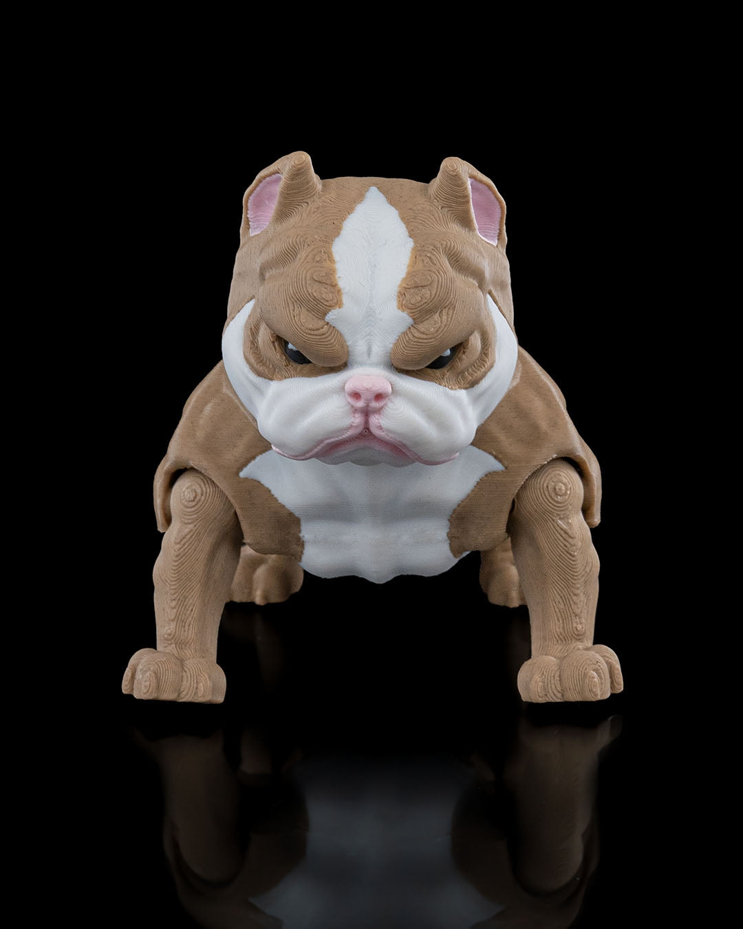 Kennel Club - American Bully