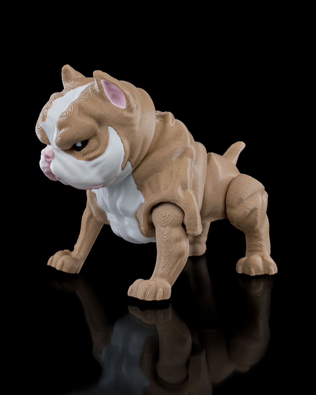 Kennel Club - American Bully