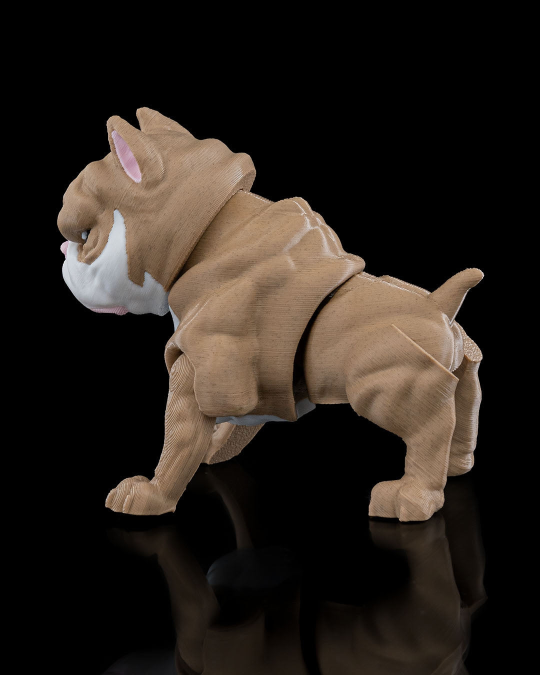 Kennel Club - American Bully