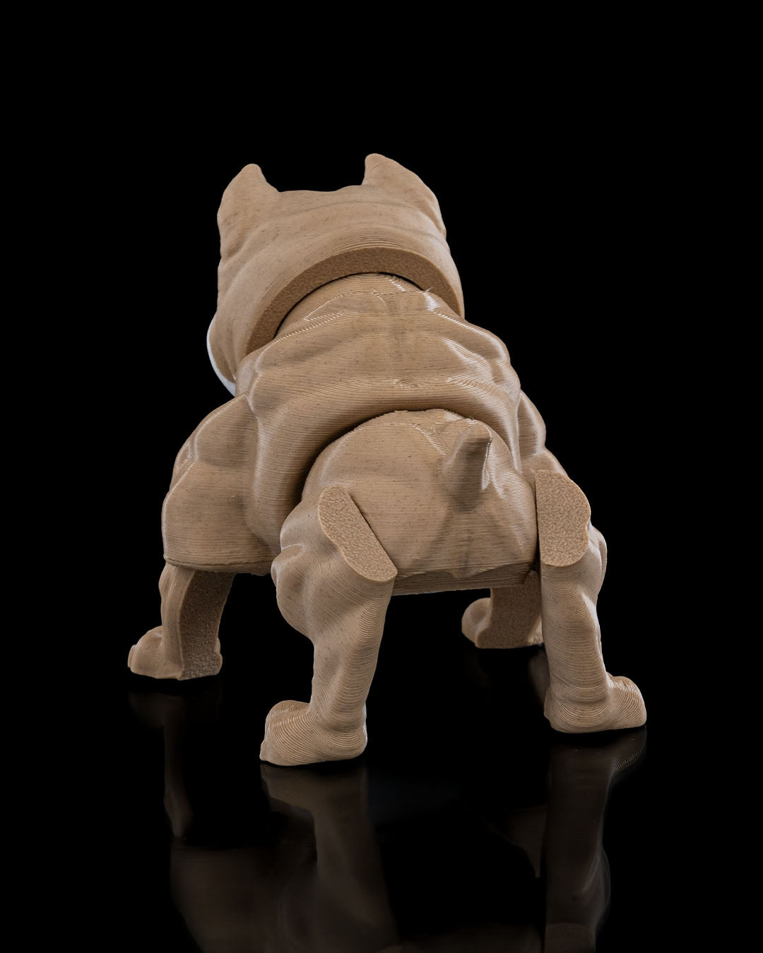 Kennel Club - American Bully