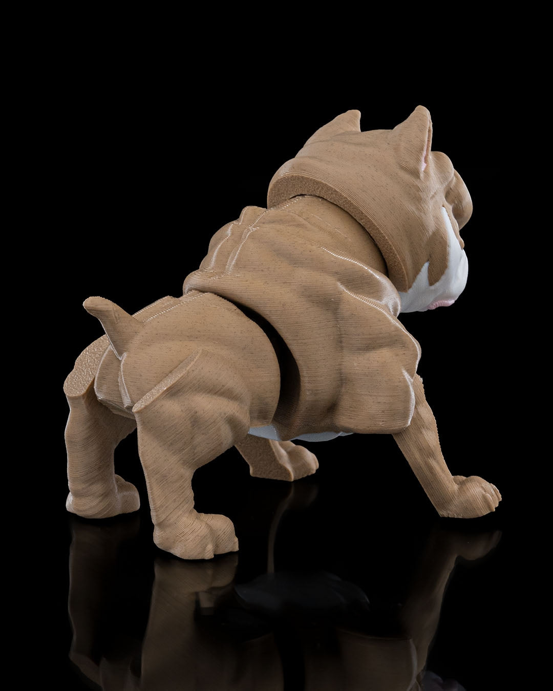 Kennel Club - American Bully
