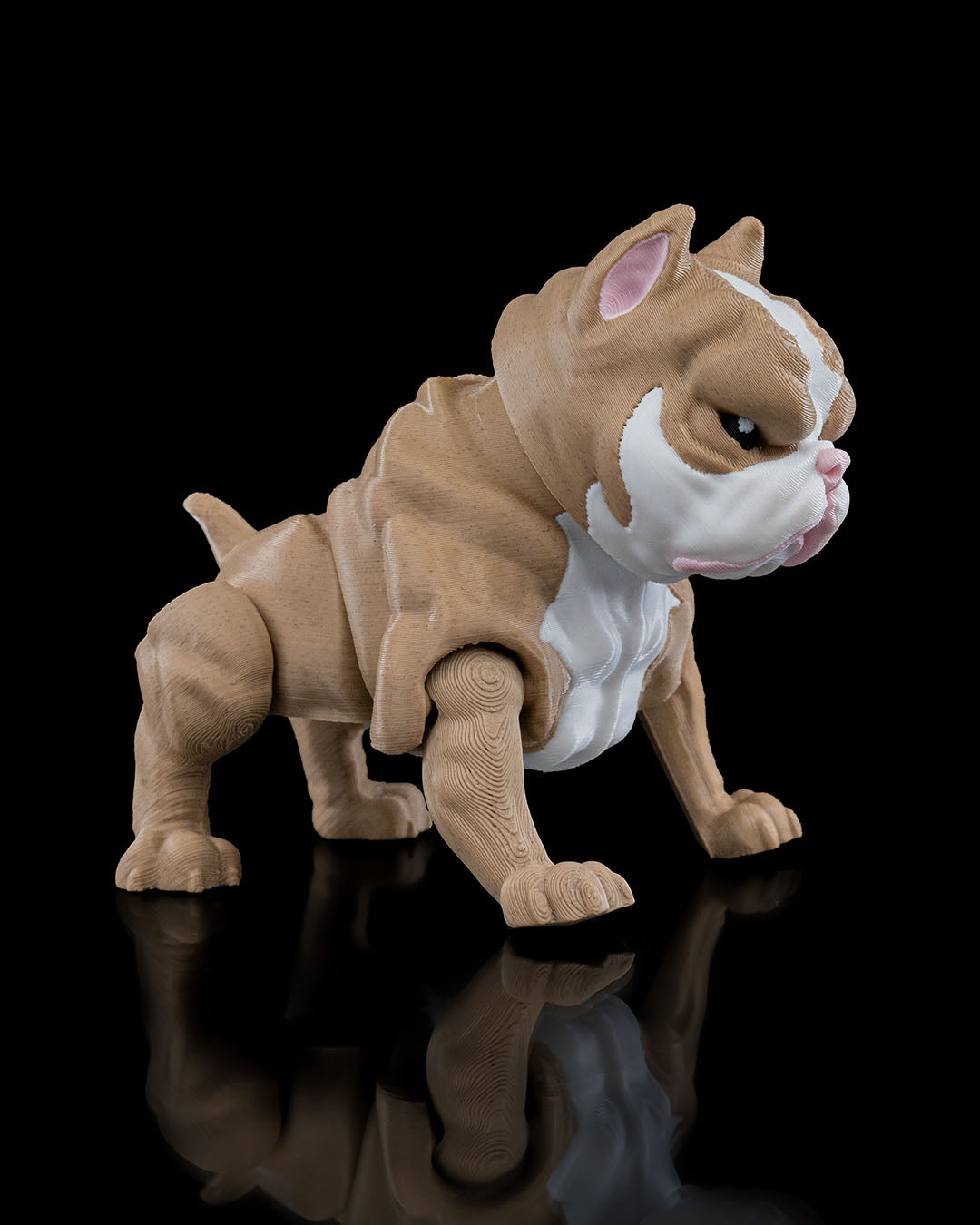 Kennel Club - American Bully