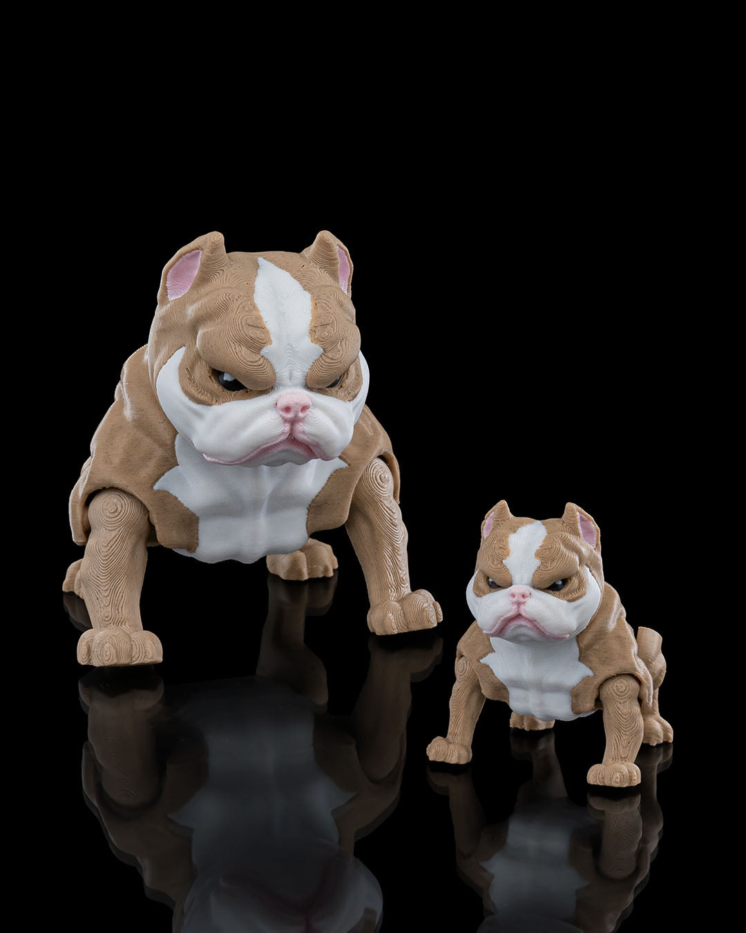 Kennel Club - American Bully