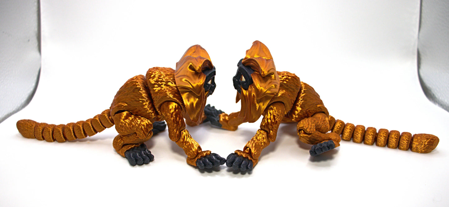 Golden Lion Tamaran Monkey