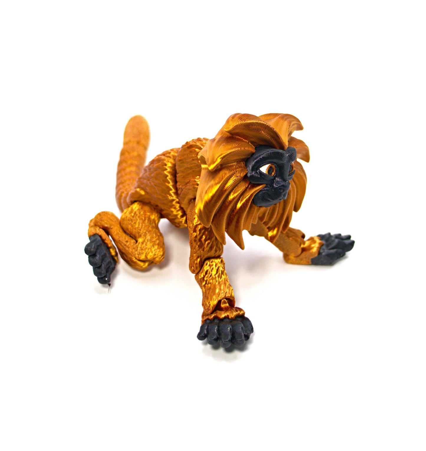 Golden Lion Tamaran Monkey