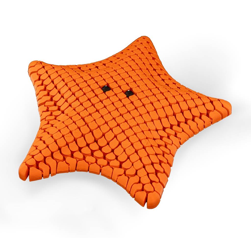 Sea Life - Starfish Baja Bat Star (Orange)