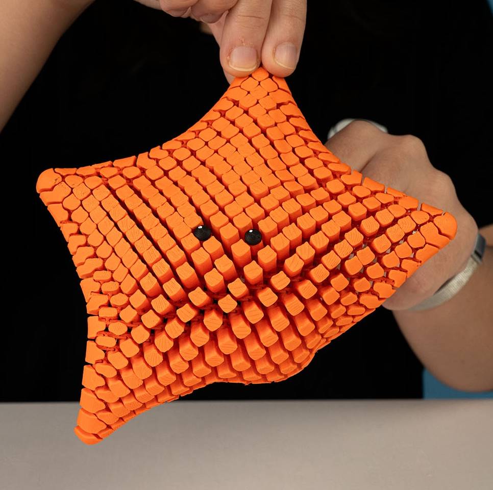 Sea Life - Starfish Baja Bat Star (Orange)