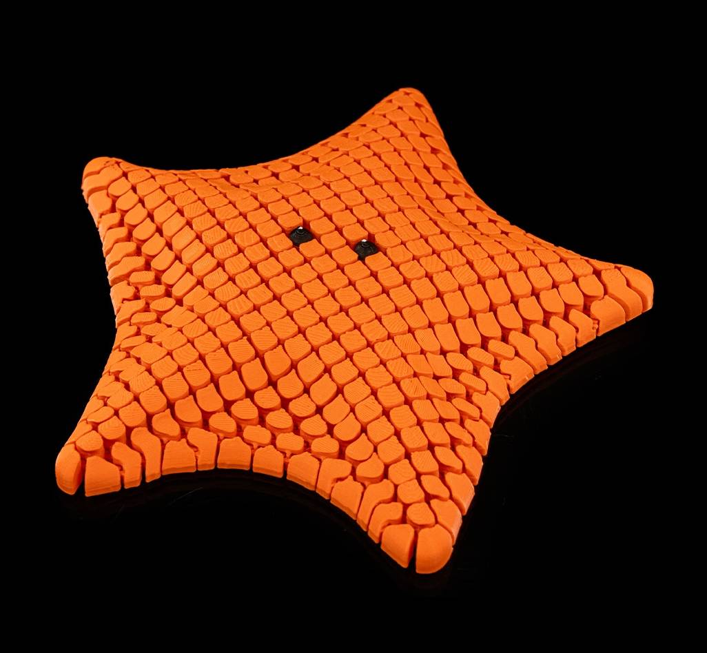 Sea Life - Starfish Baja Bat Star (Orange)