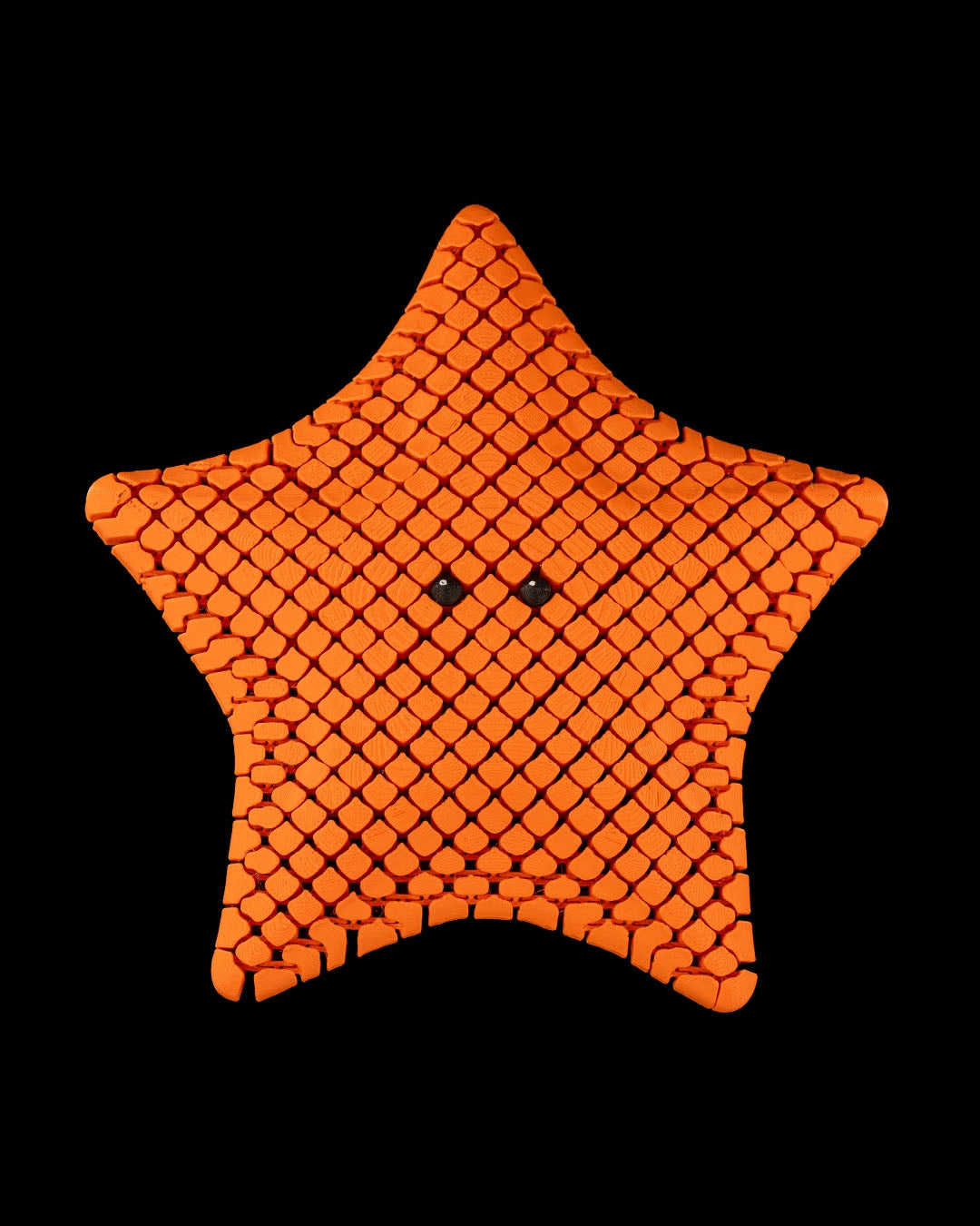 Sea Life - Starfish Baja Bat Star (Orange)