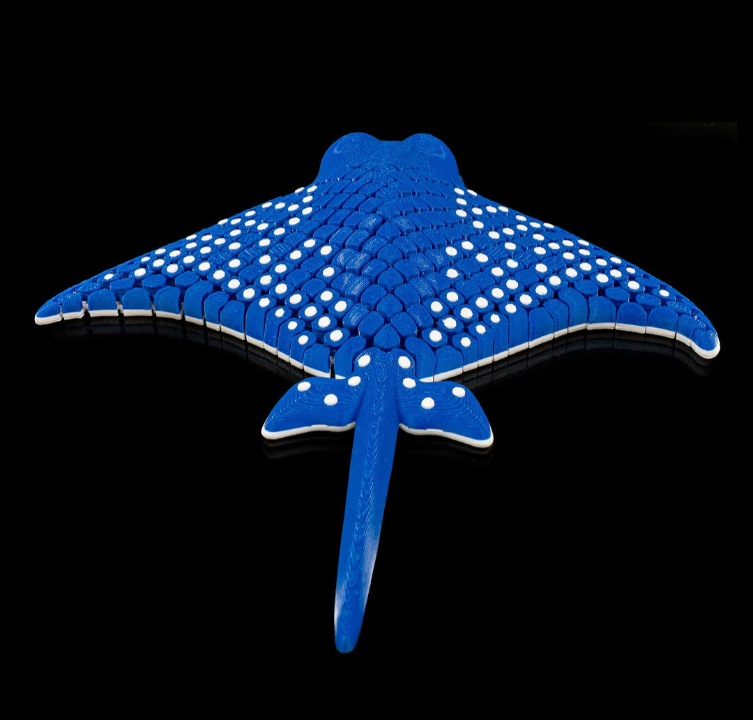 Sea Life - Manta Ray (Spotted Eagle)