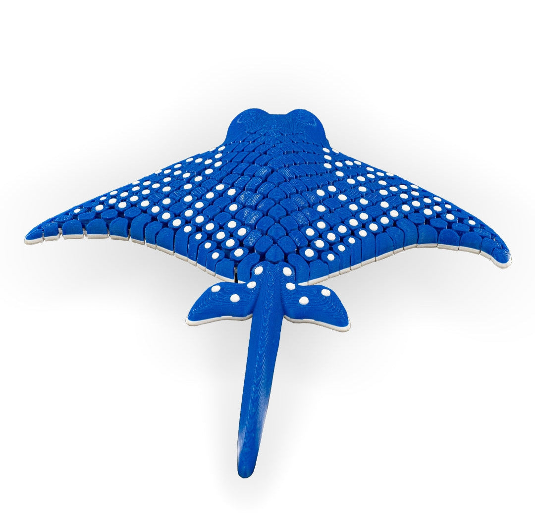 Sea Life - Manta Ray (Spotted Eagle)