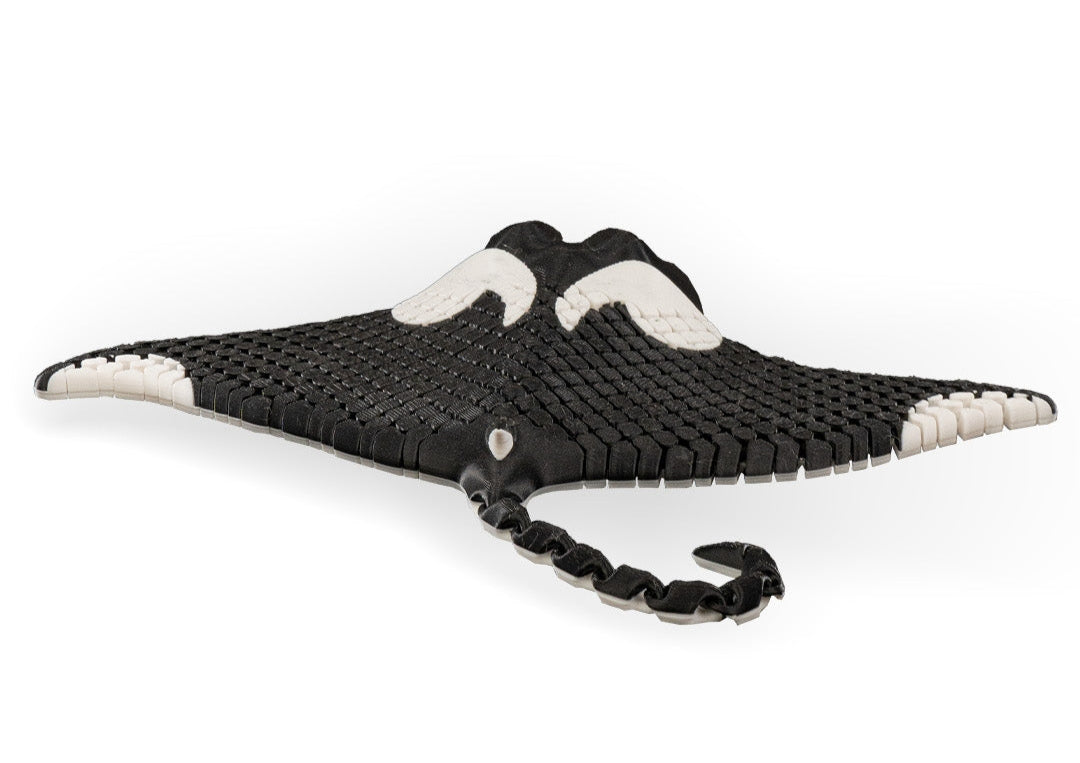 Sea Life - Manta Ray (Black and White)