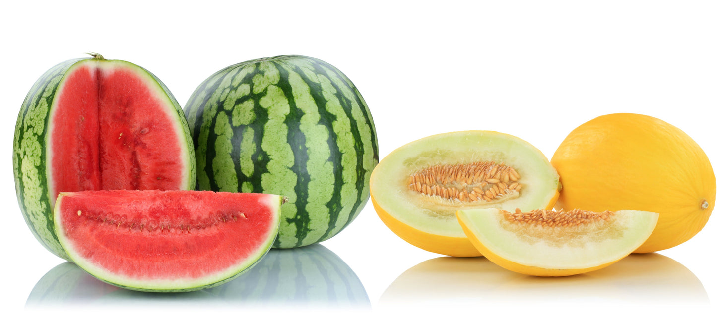 9 oz Honeydew and Watermelon Slice of Summer Candle (Slightly Strong fragrance)