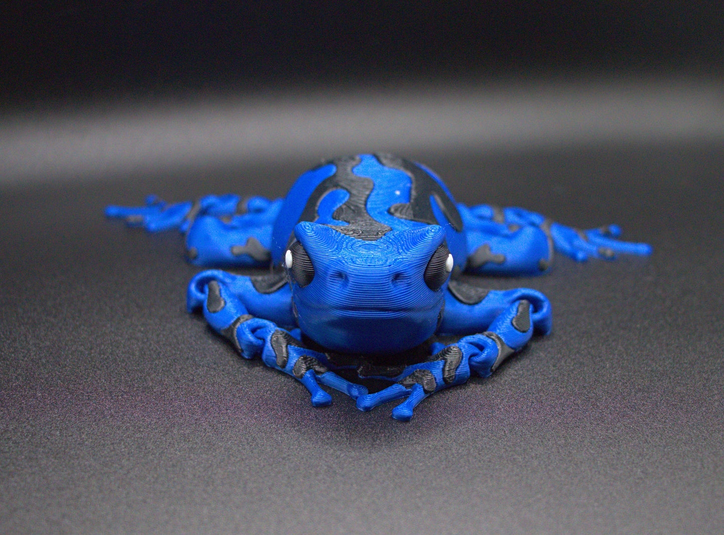 Frog-Nightwing Poison Dart (Dark Blue and Black)