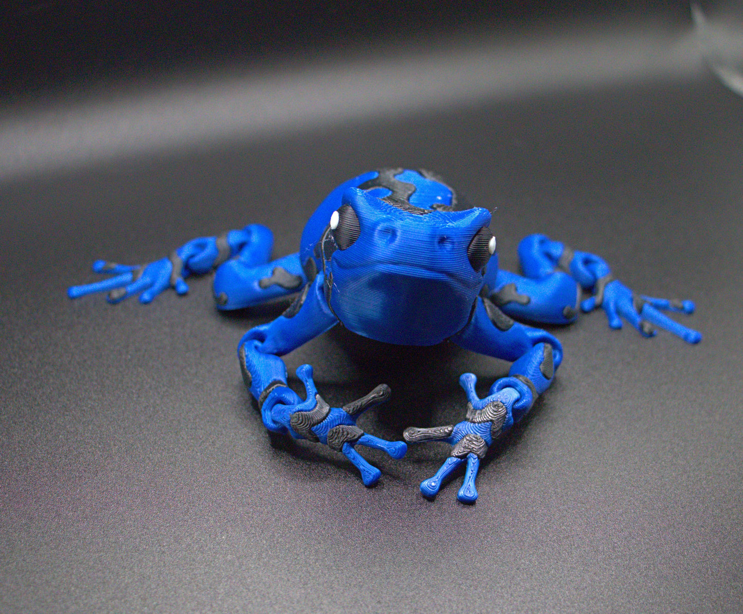 Frog-Nightwing Poison Dart (Dark Blue and Black)