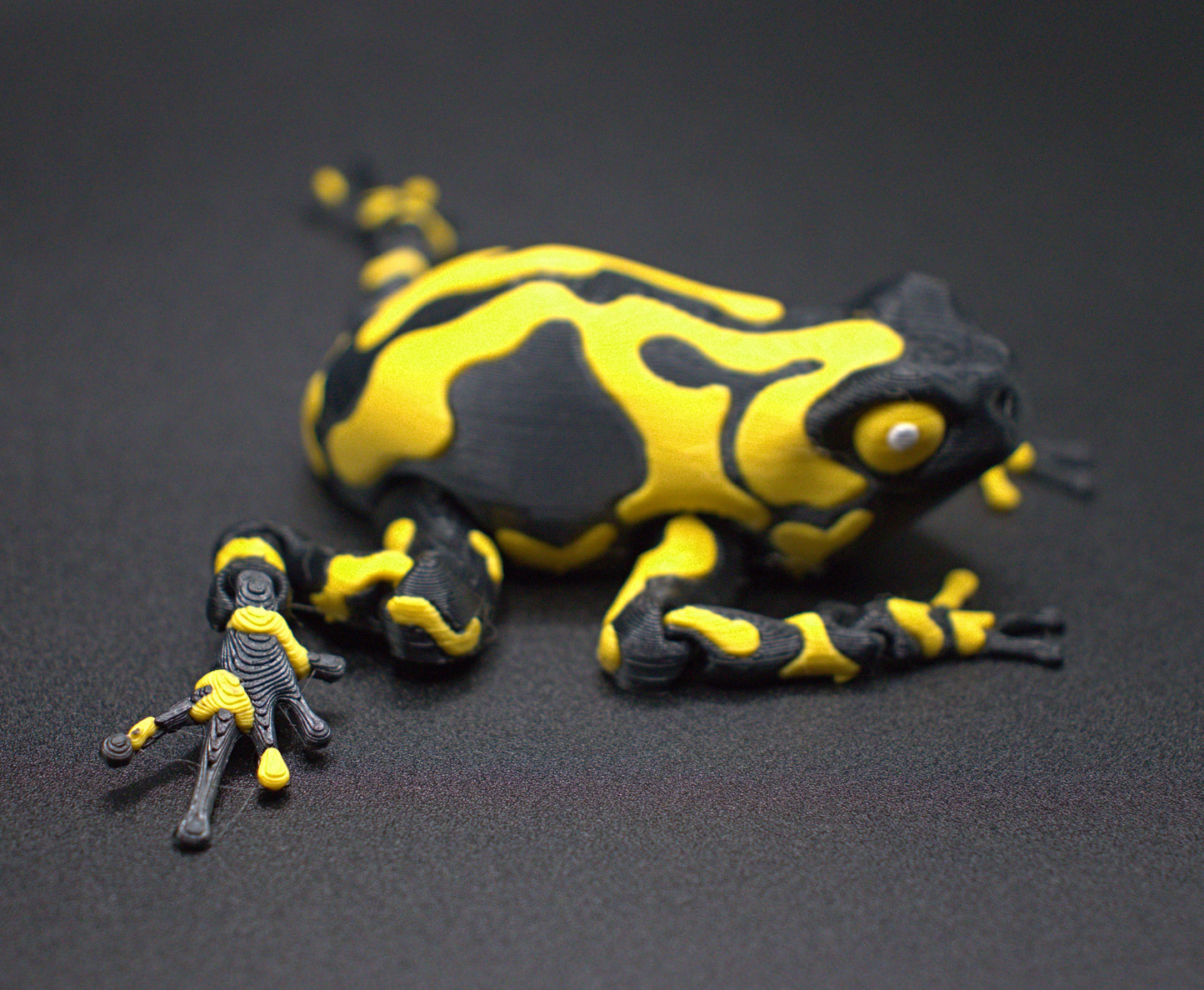 Frog-Wolverine Poison Dart (Yellow & Black)
