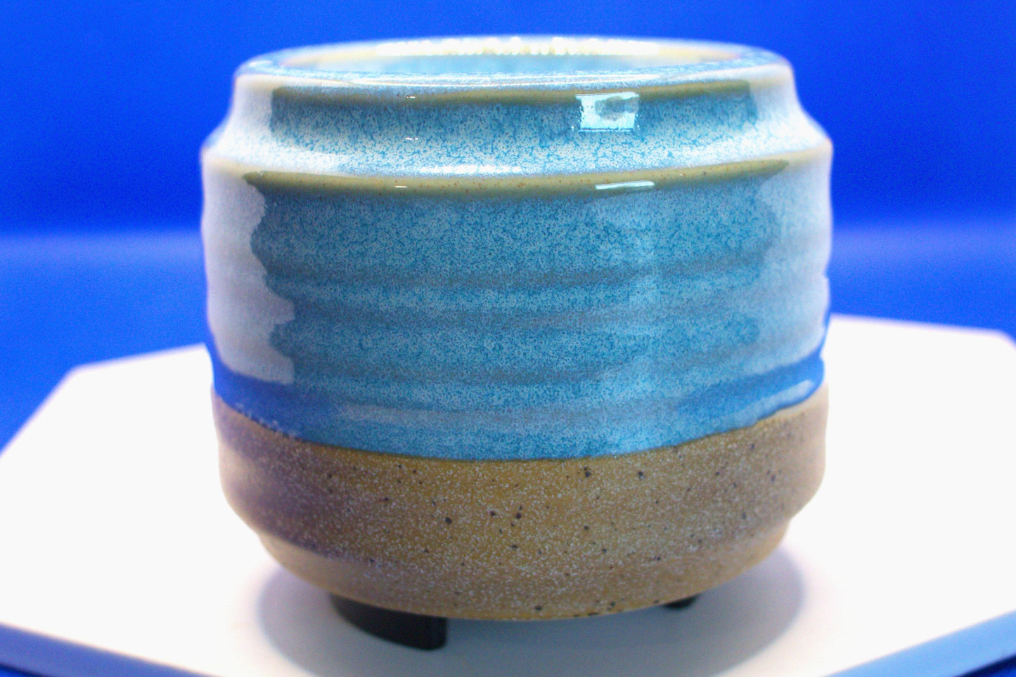 Melt Waxburners (Mocosa)