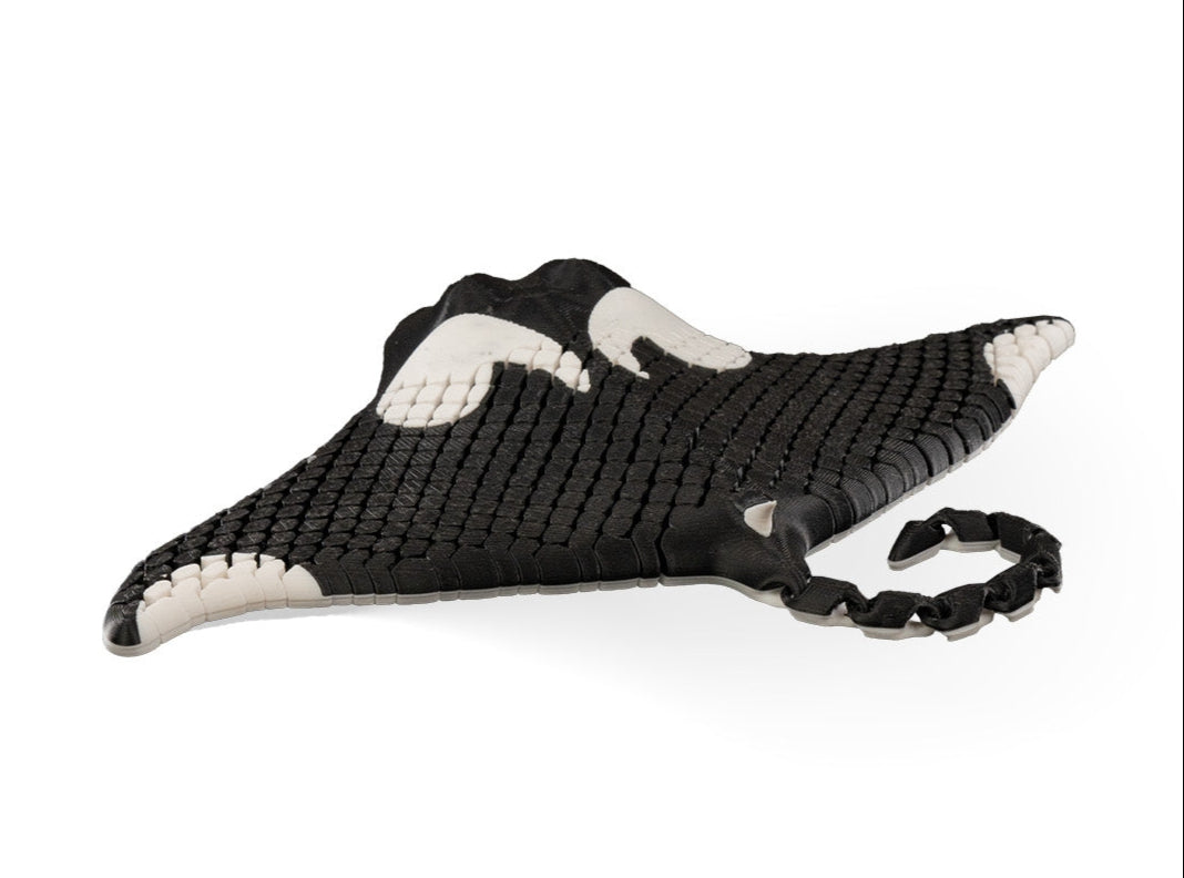 Sea Life - Manta Ray (Black and White)
