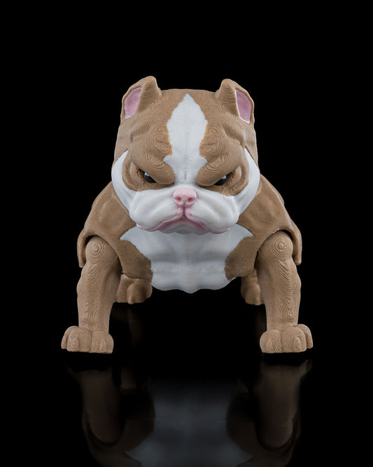 Kennel Club - American Bully
